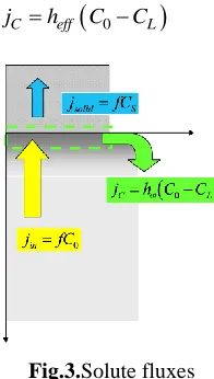 Fig.3.Solute fluxes 