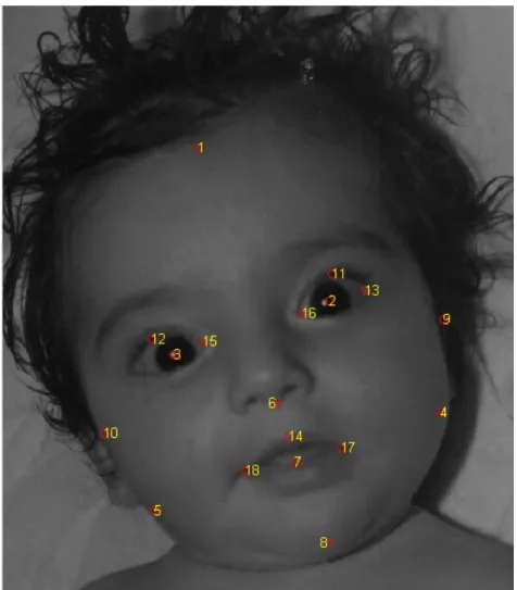 Figure 3. Facial landmark points and numbers used in the framework 