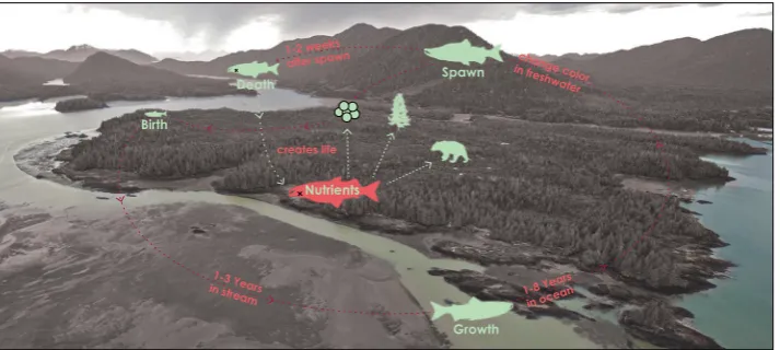 Figure 1: Critical mapping from 