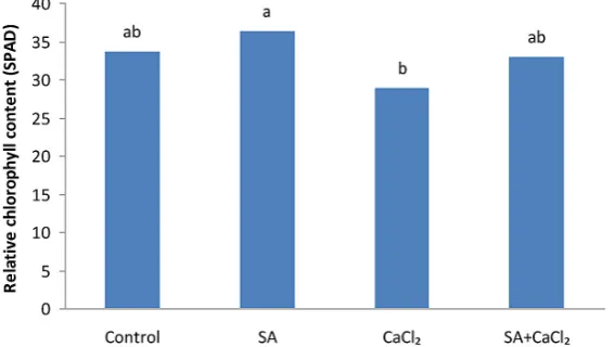 Figure 5. Effect of calcium chloride (CaCl2) and salicylic acid (SA) on fresh weight of aboveground part of Plec-tranthus ciliatus