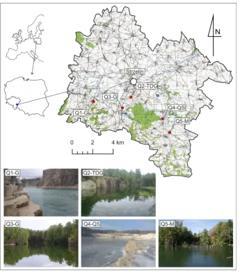 Table 1. Basic characteristics of the researched selected Strzelin quarry lakes 