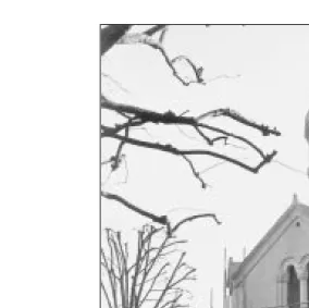 Fig 1: External view of the newly-cleaned western frontage of the