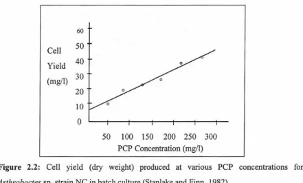 Figure 2.2: Cell yield (dry weight) produced at various PCP concentrations for 