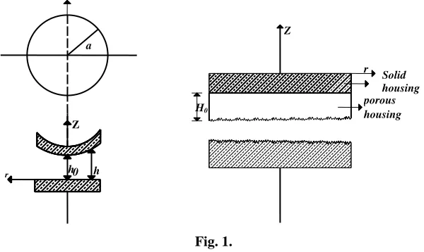 Fig. 1. 