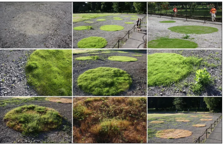 Figure 8: Development, change 