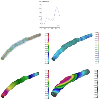 Fig. 8. Velocity inlet function and numerical results (velocity, shear stress, pressure and displacement) 