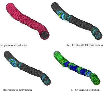 Fig. 3. Plaque propagation simulation results 
