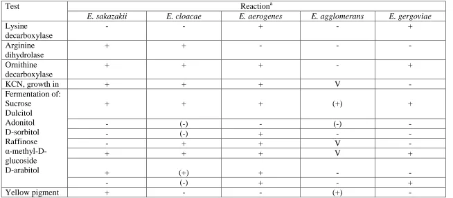 Table 2.1:  Biochemical differentiation of opportunistic Enterobacter species  