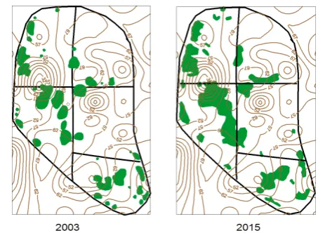 Figure 2. Distribution of the main clusters  of trees in relation to spatial variation  in the thickness of the mineral cover