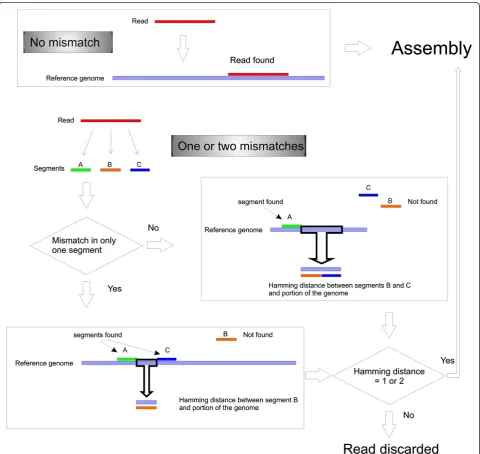 Figure 1 Reads selection. Reads are compared to the reference genome. Reads that match 100% with it are selected for further mapping(panel superior)