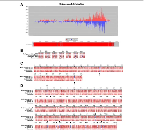 Figure 4 CLRDV mapping. A – Graphical of viral unique reads distribution of CLRDV-infected leaves smallRNA dataset using the genome ofCLRDV-ARG as reference genome