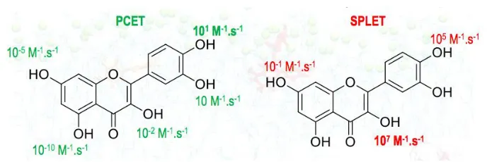 Fig. 4. Kinetic structure activity relationship. 