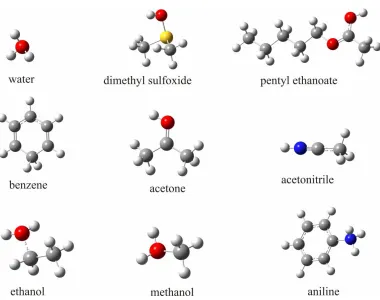 Fig. 1. The optimized geometries of the protonated solvent molecules under investigation
