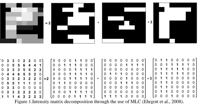 Figure 1.Intensity matrix decomposition through the use of MLC (Ehrgott et al., 2008)