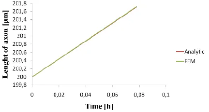 Fig. 3. Elongation along the axon (simulation time 280s). 