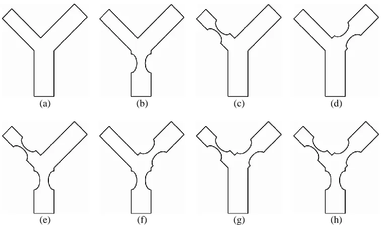 Fig. 1. Theoretical cases of the appearance of plaques on the left main coronary artery branching
