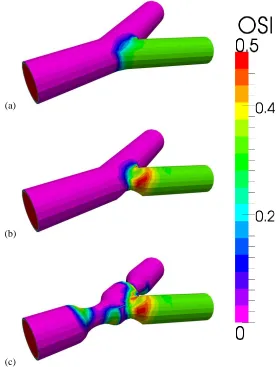Fig. 4. Oscillatory Shear Index (OSI) for observed geometrically ideal cases. 