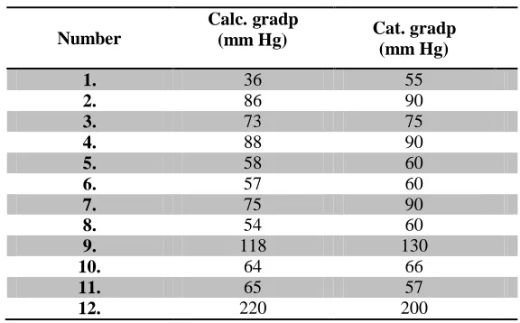 Table 2. The pressure gradients obtained by calculation and cardiac catheterization 