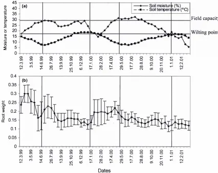 Figure 2-6 (a) Soil temperature eC, 10 cm soil depth) from the Meteorological records at AgResearch Palmerston North and mean soil moisture levels (% dry weight), (b) Mean wet root weights (g) / 1 00 ml soil in fortnightly samples from a permanent white cl