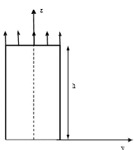 Fig. 4. The schema of a strain of a prismatic rod under its own weight 