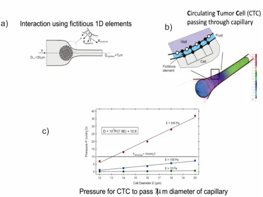 Fig. 3a,b the concept of solving interaction between deformable bodies using 1D fictitious elements is schematically shown