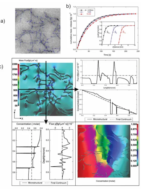 Fig. 6. Diffusion within an agarose polymeric solution according to Ziemys et al. (2011)mass flux distribution in Internal microstructure obtained by imaging