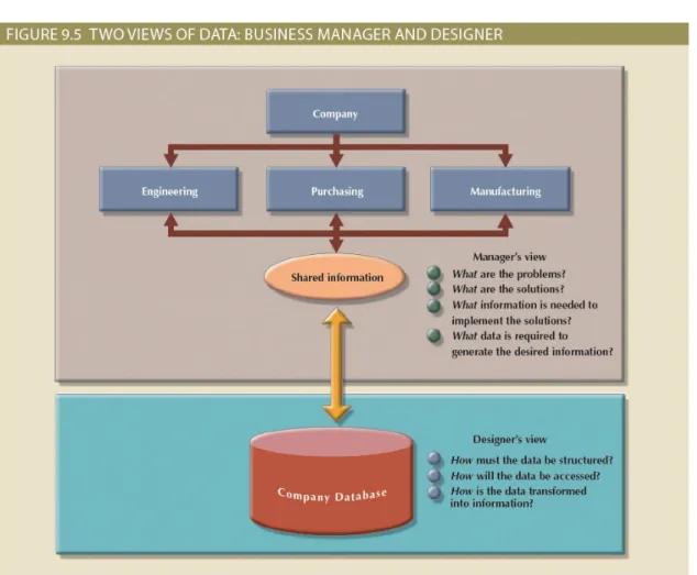 Figure 9.5 - Two Views of Data: Business  Manager and Database Designer
