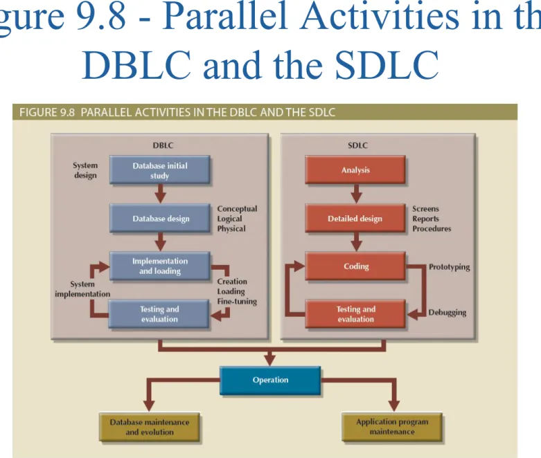 Figure 9.8 - Parallel Activities in the  DBLC and the SDLC