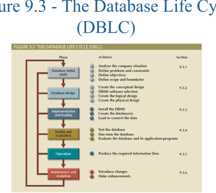 Figure 9.3 - The Database Life Cycle  (DBLC)
