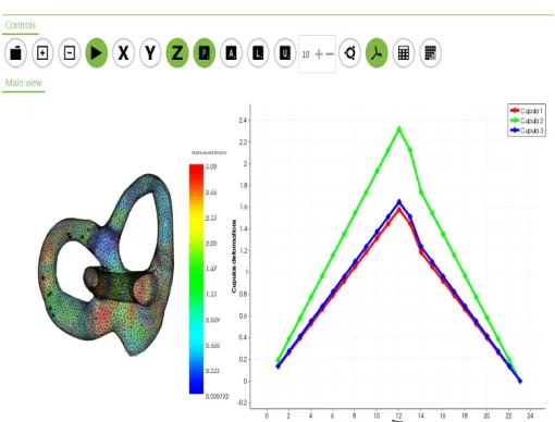 Fig. 9. Simulation of the otoconia particles motion and cupula deformation 