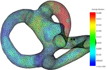 Fig. 7. Velocity distribution for BPPV patient 