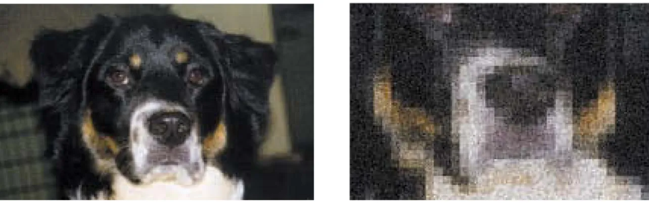 Figure 3.12 shows a digitized picture, with a small portion of it magni- magni-fied to show the individual pixels.