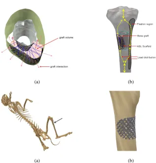 Fig. 16. Anatomically Shaped Lattice Scaffold design concept. (a) Bone graft insertion: (b) Load distribution schema; (c) (d) The case of ASLS aimed to proximal diaphyseal trauma of rabbit tibia (Stojković et al