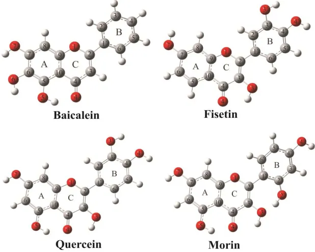 Fig. 3. The most stable structures of the investigated anthraquinones 
