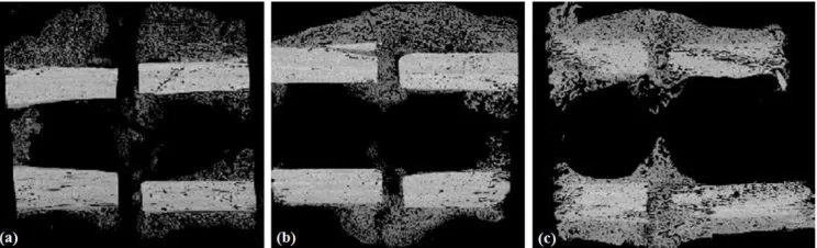 Fig. 4. The 2D model of a healing bone in which the external fixation pins and the transducers are also shown (Vavva et al