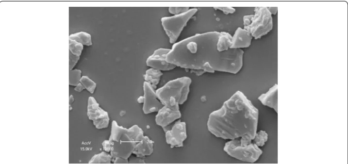 Fig. 1 Scanning electron microscopy image of untreated barium borosilicate glass fillers used in present study