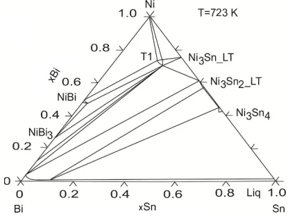 Fig. 1. Isothermal section of the system calculated at 723 K 