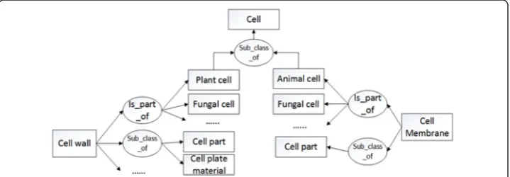 Fig. 1 Fragment of the knowledge base. A rectangle represents a biology concept and an oval representsa predicate