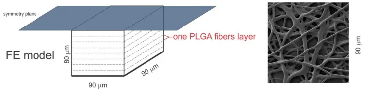 Fig. 3. Procedure for model generation. a) SEM images showing morphologies of the nanofiber mats, b) RReconstructed mesh of 1D fibers; c) FE model consisting of 1D fibers and surrounding 3D FE mesh 