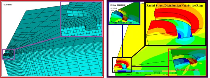 Fig. 3. FEM model used in numerical study of RC method and some schematic results 