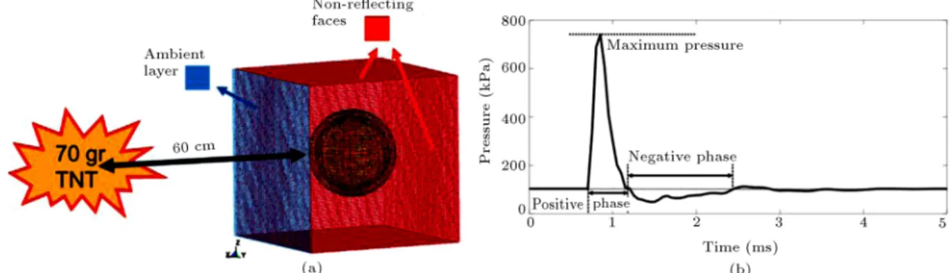 Figure 2. (a) ALE blast domain and the FE spherical model. (b) Time history of blast overpressure.