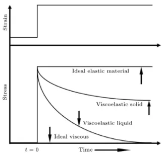 Figure 3. Applied strain and the stress relaxation responses with time of tissue material.