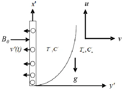 Fig. 1. Flow configuration and coordinate system 