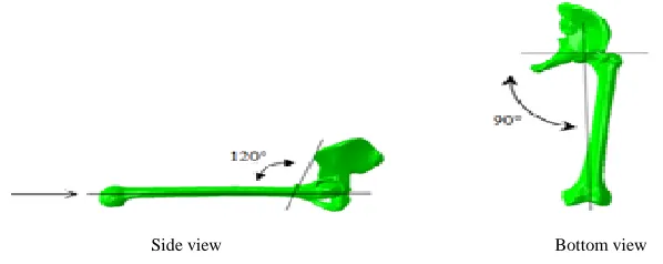 Fig. 4. Femur-pelvis angles used in model simulation 