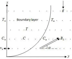 Fig. 1. The geometry of the model  