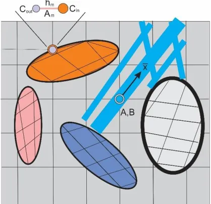 Fig. 1. Schematic of detailed model of a composite medium, 2D representation (diffusion is assumed)