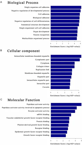 Figure 3. Gene ontology (GO) enrichment analysis for differentially expressed mRNAs. A: GO analysis of mRNAs according to biological process