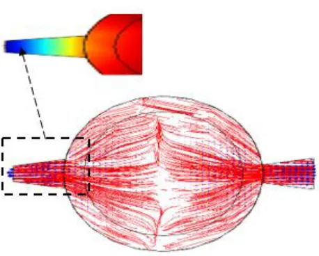 Fig. 6. Total Displacement of Diaphragm 