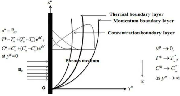 Fig. 1. Flow geometry and coordinate system 