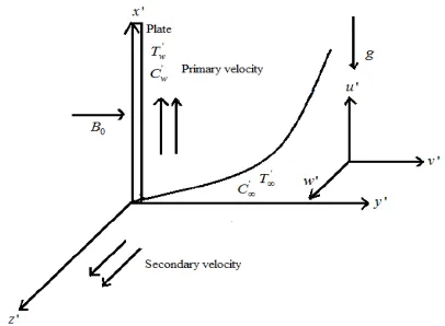 Fig. 1. Flow geometry and physical coordinate system 